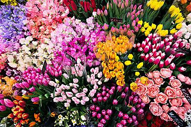 《幻灵降世录：女巫的面纱》11＆5推出抢先体验版