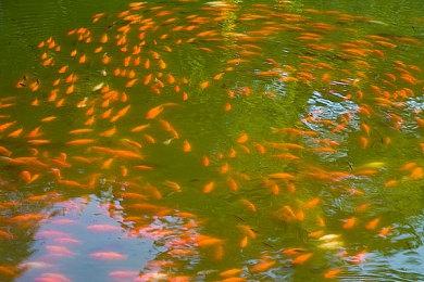 经典体育游戏《后院棒球97》PS5奖杯列表信息已出现